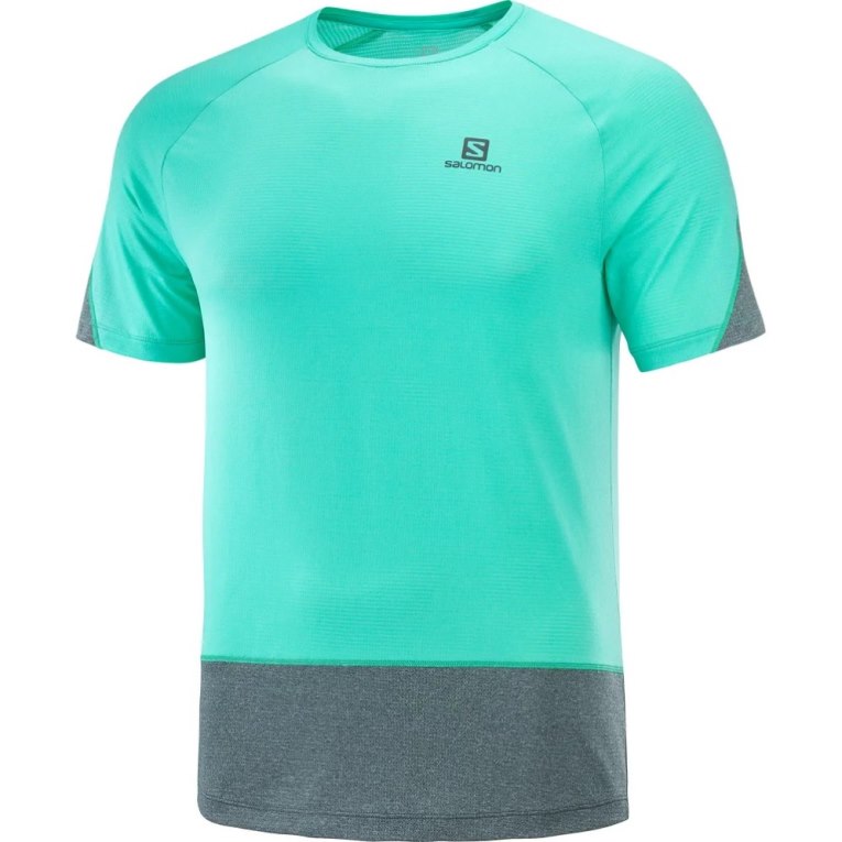 Salomon Cross Run Kratke Sleeve Tricko Panske Tyrkysové Siva | SK 3WDPFL